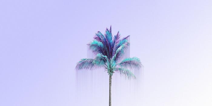 1280x720 Lavender lilac blue palm tree desktop wallpaper background | Desktop