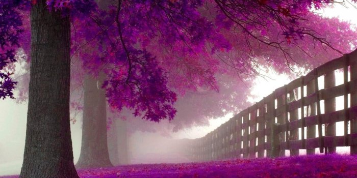 1920x1080 Purple Desktop Wallpapers - Top Free Purple Desktop Backgrounds