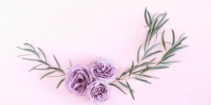 2560x1707 DIGITAL BLOOMS JUNE 2018 | FREE DESKTOP WALLPAPERS - JustineCelina