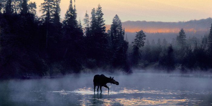 1600x1000 A Guide to Isle Royale National Park | Travel + Leisure