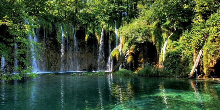 2560x1600 40+ Forest HD Desktop Wallpapers - Download at WallpaperBro