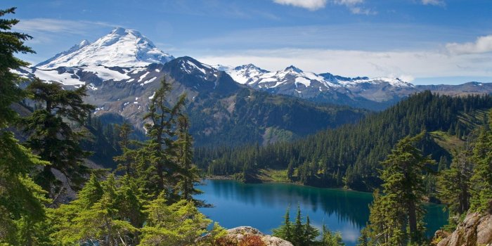 1920x1200 Forest Desktop Wallpaper HD - WallpaperAsk