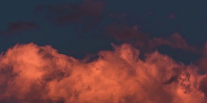 1242x2866 Wallpaper Weekends: Halloween iPhone XS Max Wallpapers