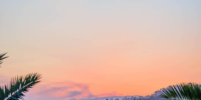 736x1308 Nature Wallpaper: Welcome To The Jungle iPhone Xs Max Wallpapers