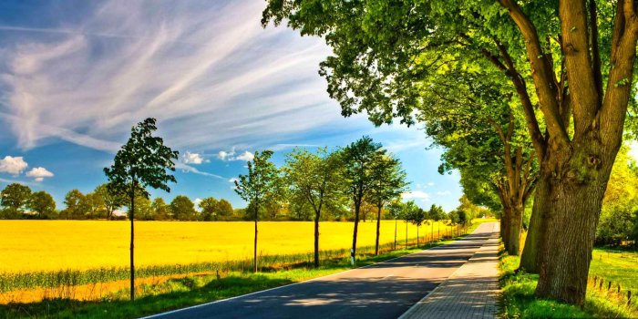 1980x1100 Download Nature Wallpapers Hd - 240 320 Free Download Free Wallpaper