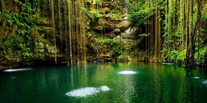 1920x1080 68+ Nature Beauty Wallpapers on WallpaperPlay