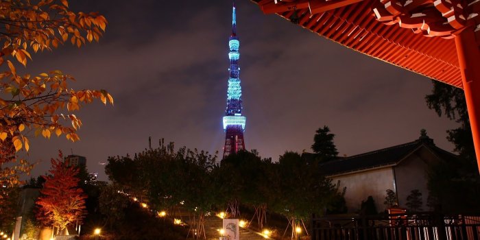 3200x2400 Japan, Tokyo, trees, cityscapes, tower, japanese, city lights, Tokyo
