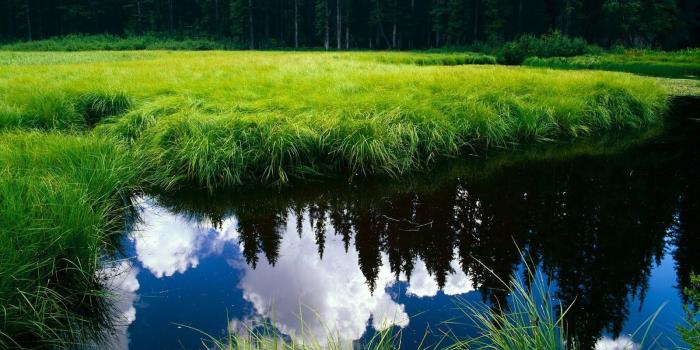 1600x900 Download Nature Wallpapers Full HD 1080p Photo Desktop Backgrounds