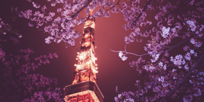 1920x1200 Tokyo Tower HD Wallpaper | Background Image | 1920x1200 | ID:409993