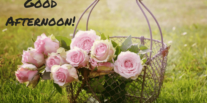 1280x720 Good Afternoon HD images, wallpapers, pics, quotes, messages for