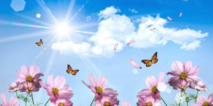 1920x1200 123+ Good Afternoon Images Pictures For Whatsapp