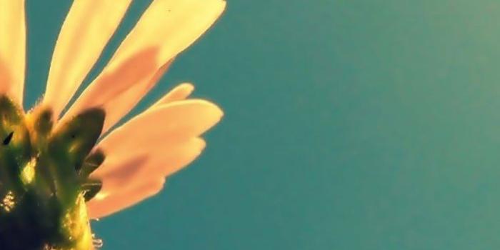 750x1334 Retro Iphone Wallpaper 38 | Pinofy.Net