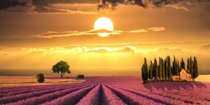 2048x1353 45+ Farm Field Sunset Wallpapers - Download at WallpaperBro