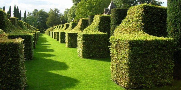 1130x845 Awesome green french garden wallpaper