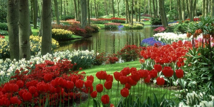 1920x1080 French Garden Wallpapers - Top Free French Garden Backgrounds