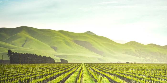 1000x1500 100+ Farm Pictures | Download Free Images on Unsplash