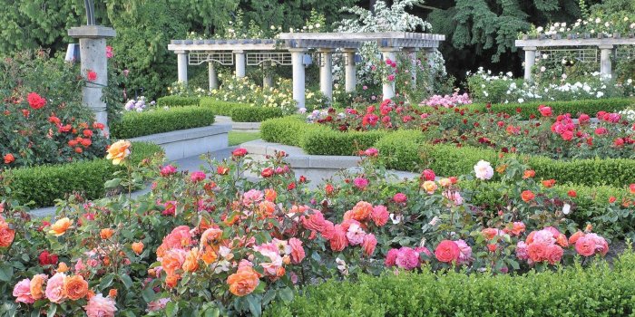 1920x1089 French Garden Wallpapers - Top Free French Garden Backgrounds