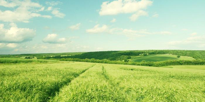 1920x1080 Beautiful Greeny Summer Look Farm | HD Wallpapers