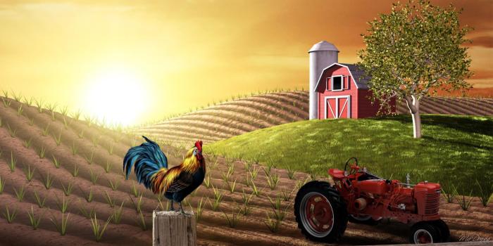 1920x1080 Farm Wallpapers