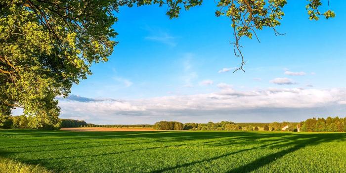 1920x1200 trees, clouds, beautiful, grass, sky, farm, field, spring :: Wallpapers
