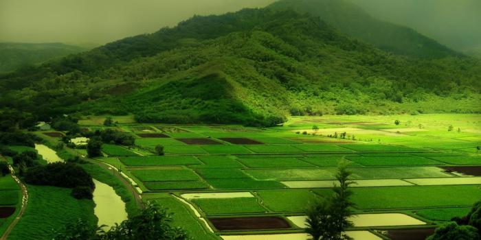 1920x1200 Beautiful Farm | BUZZERG