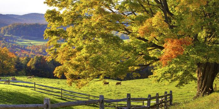 1920x1080 Beautiful Farm Scenery wallpaper - 1416597