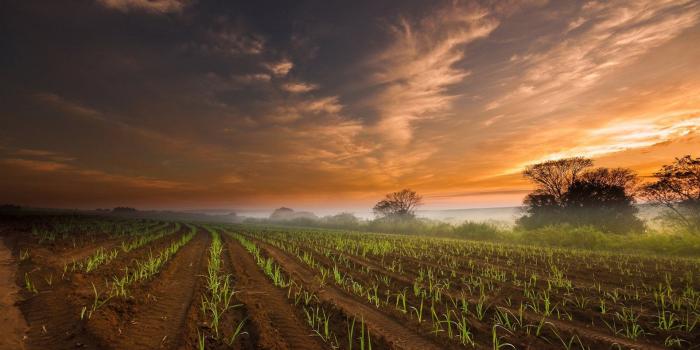 1920x1200 Farm Wallpaper For Desktop #7008646