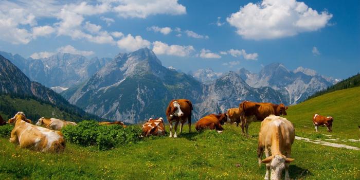 1920x1080 Best 47+ Farm Wallpaper on HipWallpaper | Farm Wallpaper