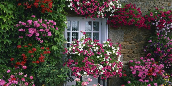 1440x900 Flower Garden With Cottage Wallpapers