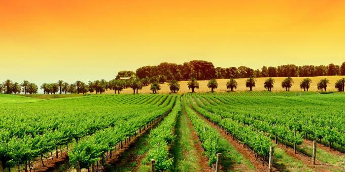 2560x1440 Free Farm Wallpapers