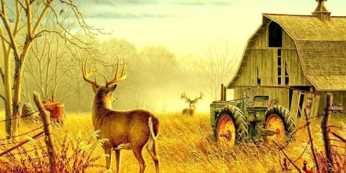 1024x768 Free farm wallpaper Gallery