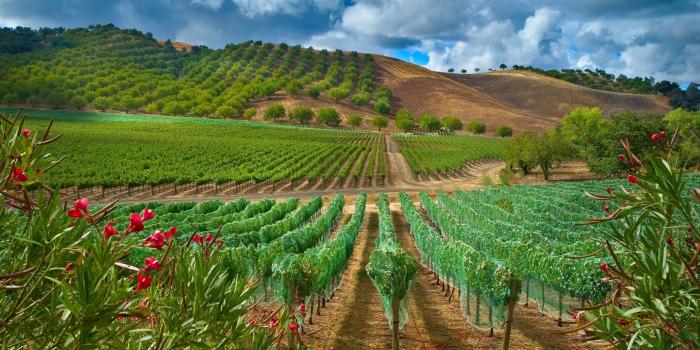 1920x1080 Farm Wallpaper 16681 1920x1080px