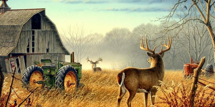 2560x1920 1920X1080 HD Farm Wallpapers - Top Free 1920X1080 HD Farm