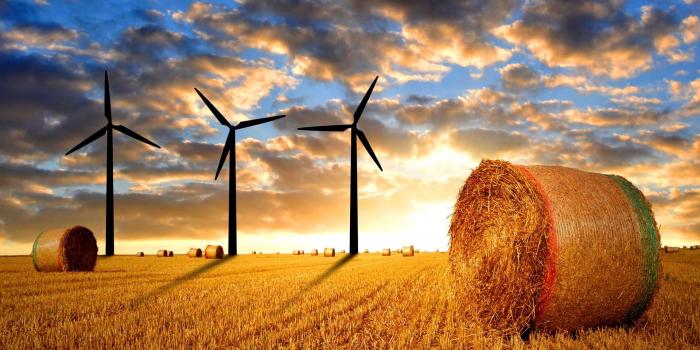 1920x1080 Beautiful Farm Wallpaper 16689 | Best Free Desktop HD Wallpapers