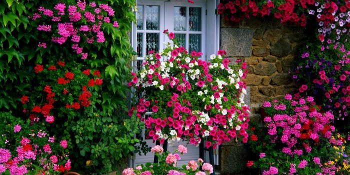 1920x1080 Farm House Garden wallpaper | ❀ Flowers & Foliage ❀ | Garden