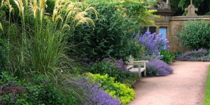 1024x768 French Garden With Ornamental Plants And Bench - Flowers In French