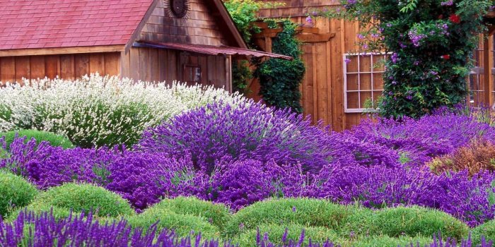 1920x1200 French Gardens Wallpaper Theme