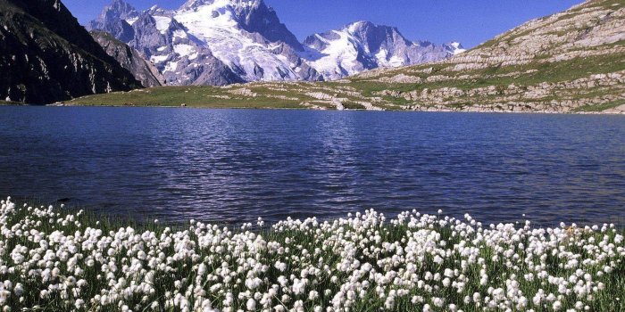 1600x1080 France Tag wallpapers Page 2: France Garden Art Flowers View Bench