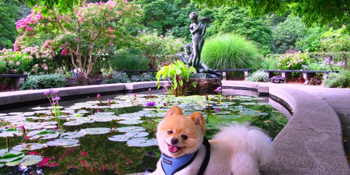 3648x2736 Conservatory Garden, English - Sammy and the City | Events, Things