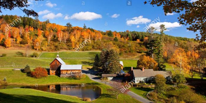 1300x956 Vermont Autumn Farms | Collection