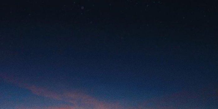 736x1308 Tree under the moon - Phone Wallpaper