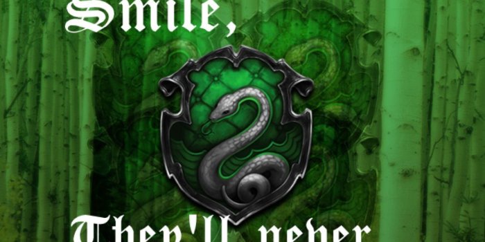 1200x1800 Slytherin | SLYTHERIN PRIDE | Slytherin harry potter, Slytherin