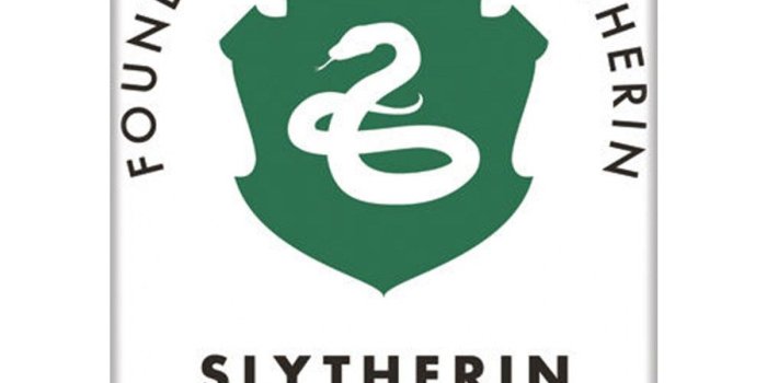 1200x1200 Harry Potter House Pride Slytherin 3.5 x 2.5 Magnet