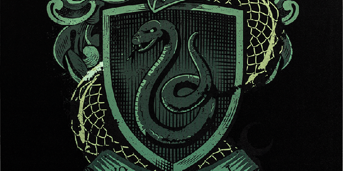 841x1200 Harry Potter - Slytherin House Crest Tin Sign by Ikon Collectables