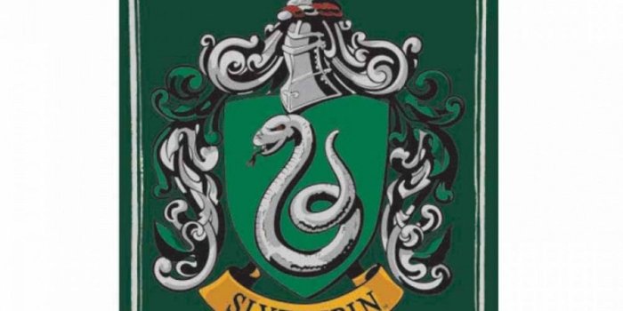 1200x1200 Harry Potter Slytherin Crest Small Tin Sign