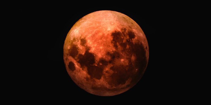 1566x2349 phone moon wallpaper – Wallpapers For Tech