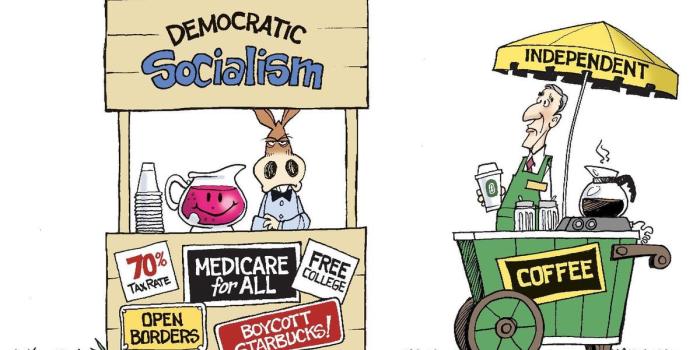 1200x786 12 cartoons to catch you up on news about Howard Schultz, the polar