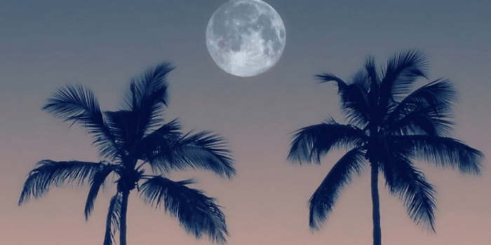744x1392 Moon // wallpaper, backgrounds | Backgrounds :) in 2019 | Whatsapp