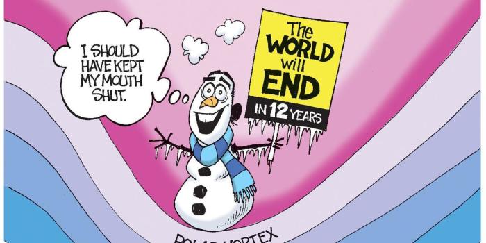 1200x785 12 cartoons to catch you up on news about Howard Schultz, the polar