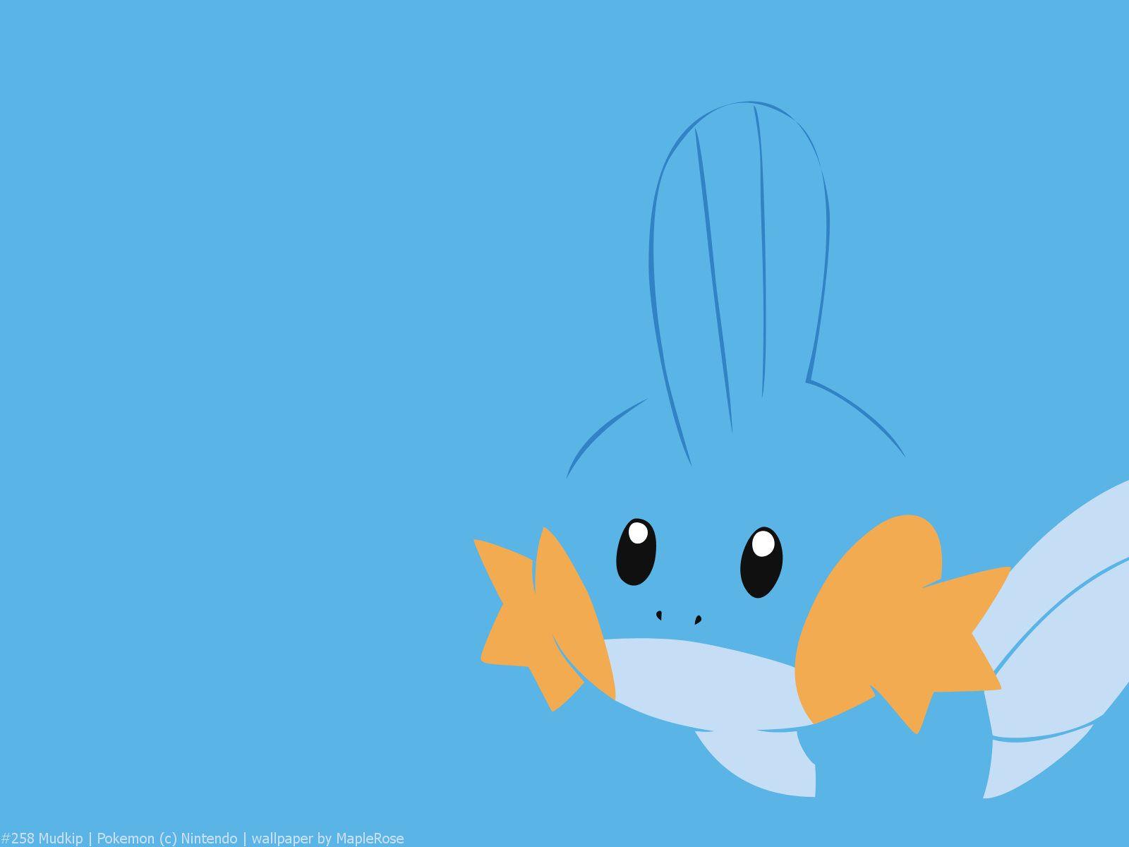 1600x1200 Mudkip Wallpapers